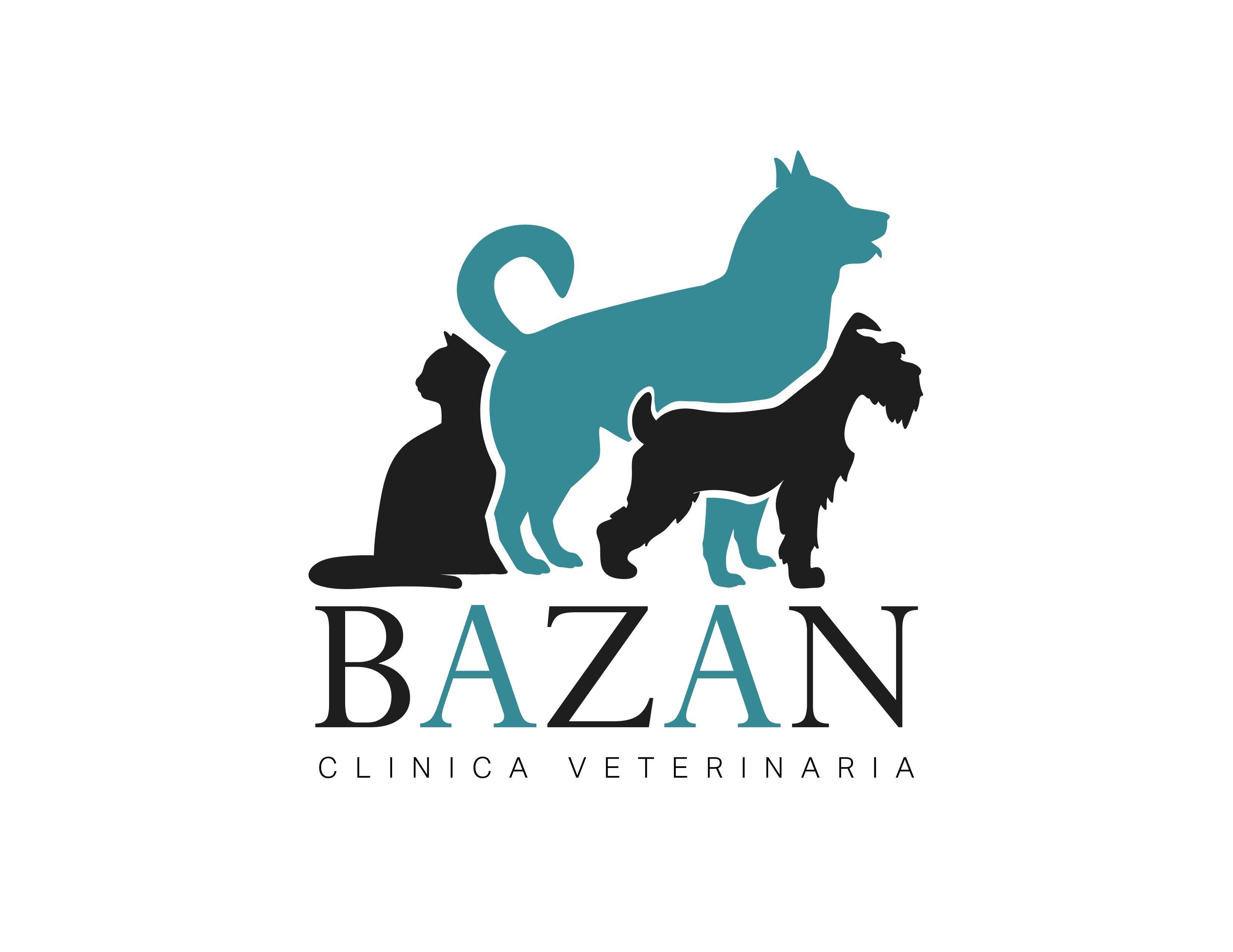Justo Bazan Valle